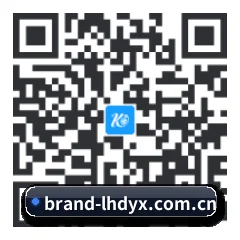 iOS 苹果生态原生版 二维码